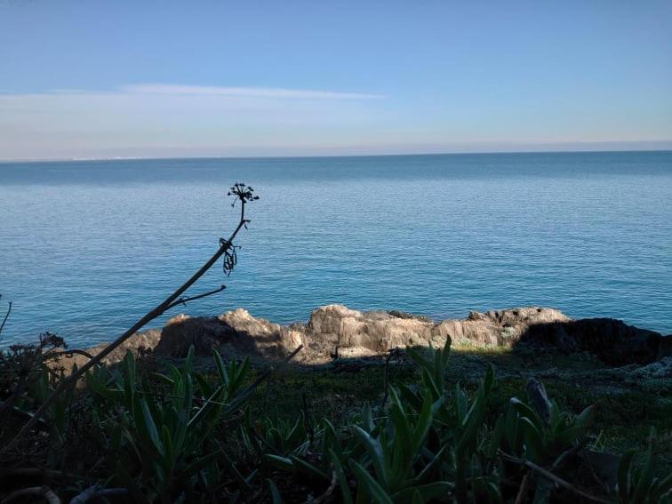 4Rb4 Appartement Type T2 Bord De Mer Acces Plage Direct Collioure Ngoại thất bức ảnh